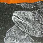Granite Etching of Moray eel. The texure of rough spotted skin is achieved via tiny points & lines.