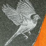 Granite Etching of Red-Headed Warbler. This rare visitor to the USA is effectively rendered using layered lines.