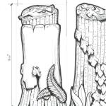 Marble Tree Stump concept drawing used for the marble monument displayed above.