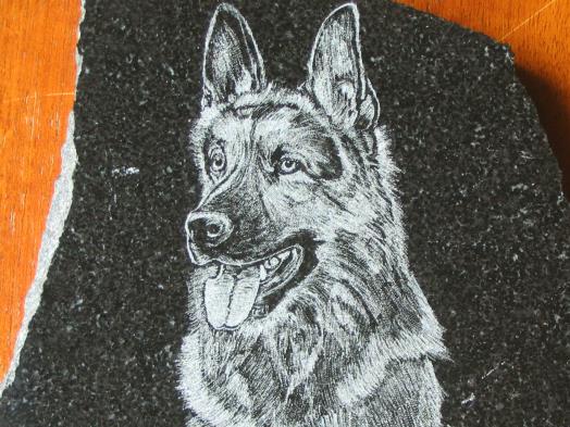 GERMAN SHEPHERD DOG