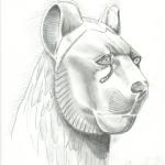 Lion Head Detail Pencil Sketch from the Funerary Bed of Tutankhamun